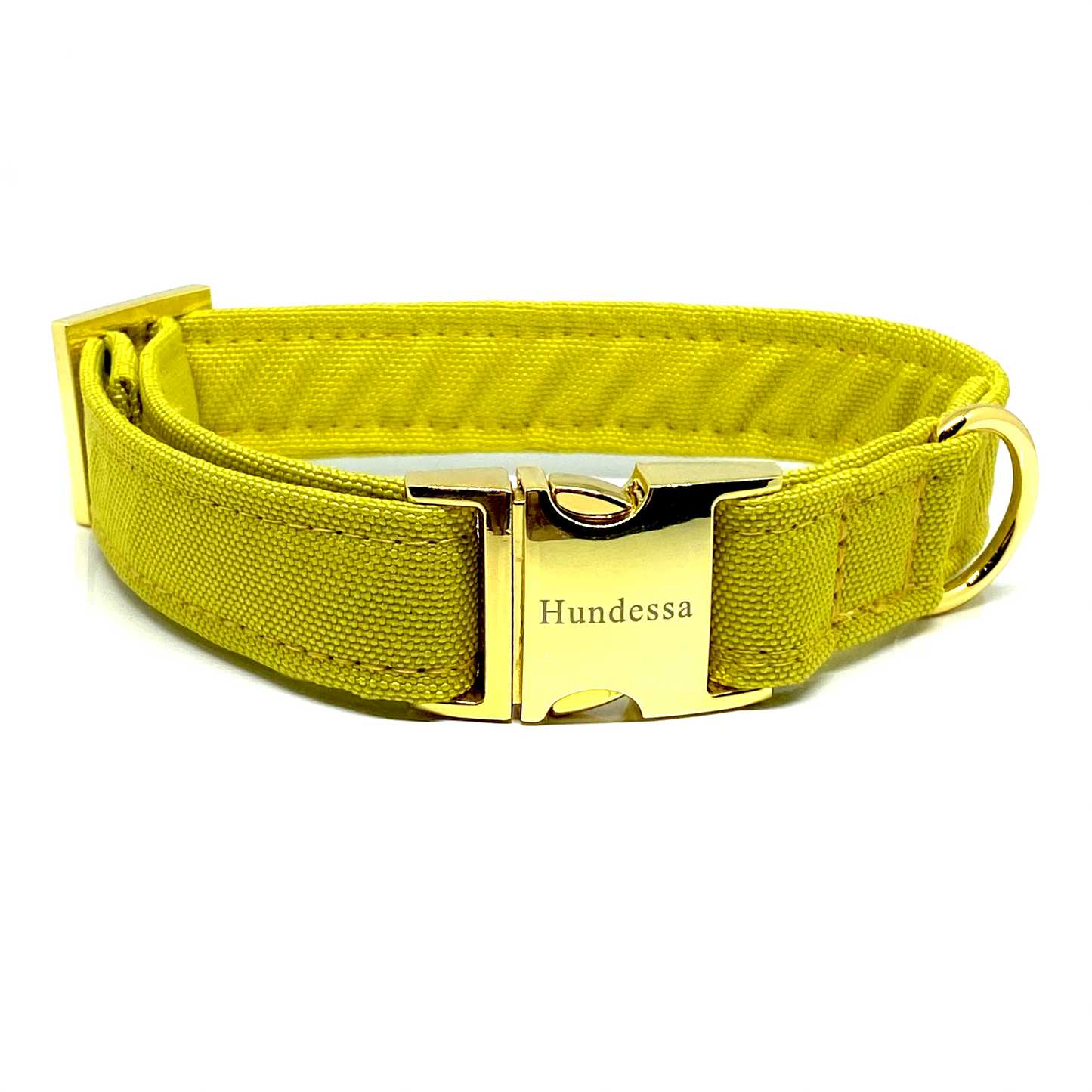 Halsband Klickverschluss CURRY