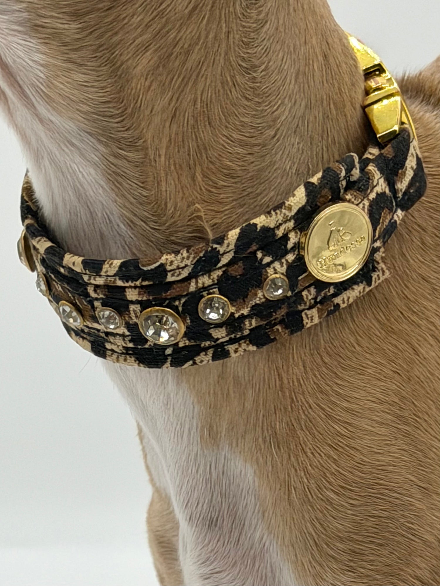 Unterlegtes Halsband KAMEL Velours