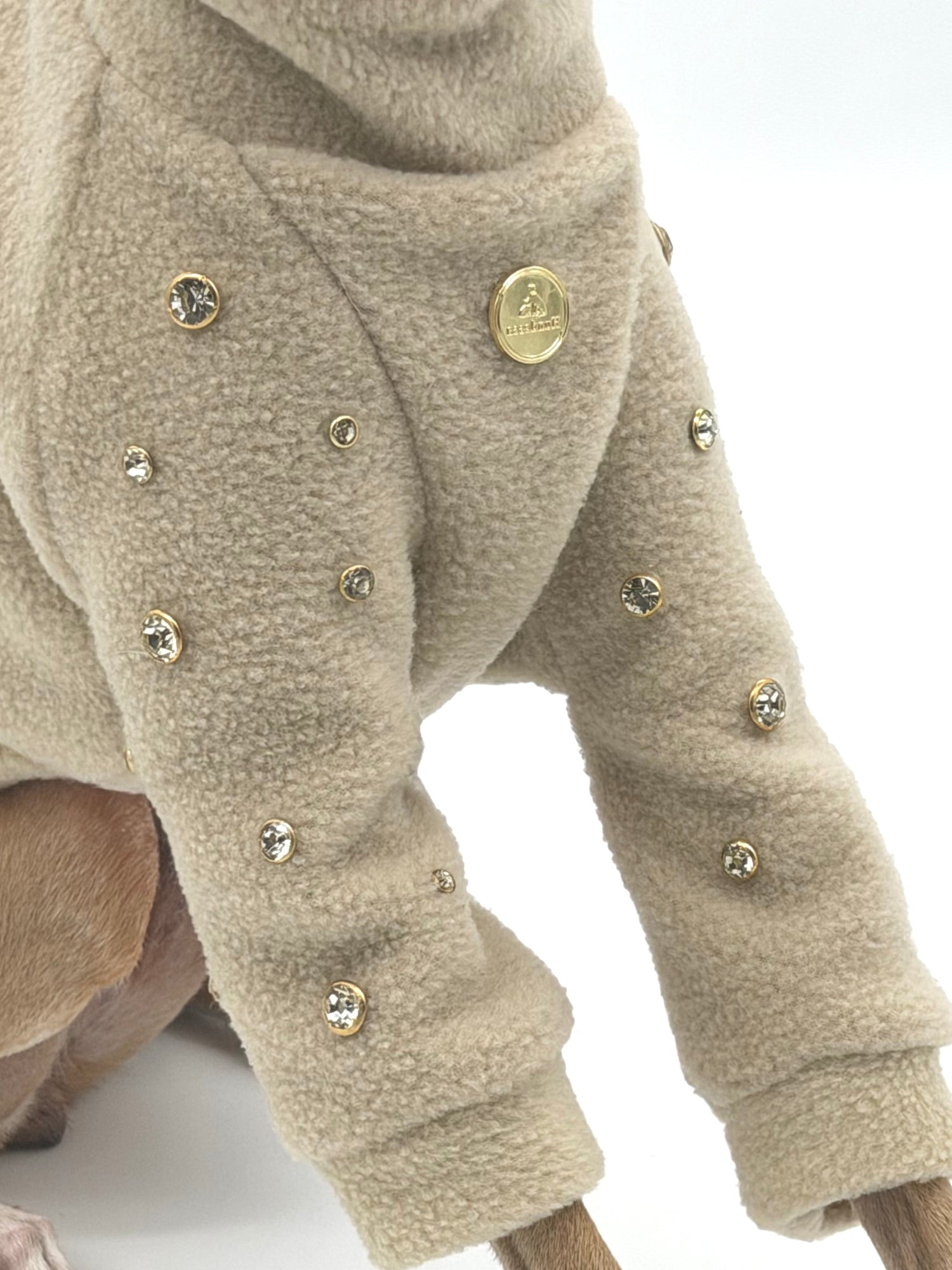 Hund im cremefarbenen Teddy-Pullover mit Strasssteinen und goldenem Logoknopf