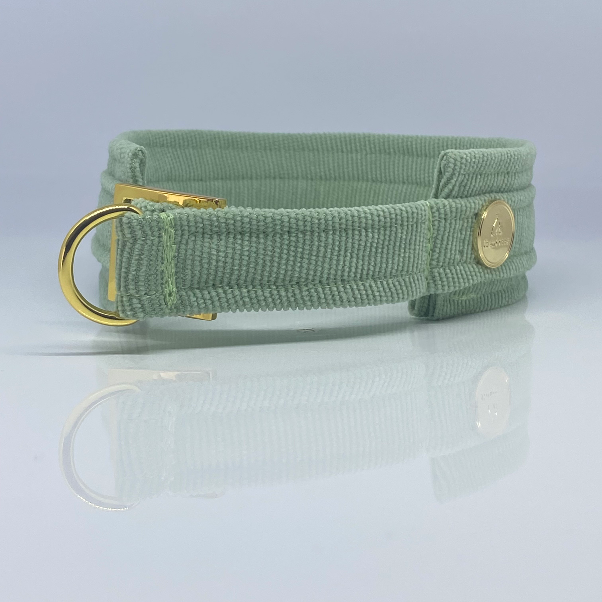 Unterlegtes Halsband Cord LINDGRÜN – Ansicht 3