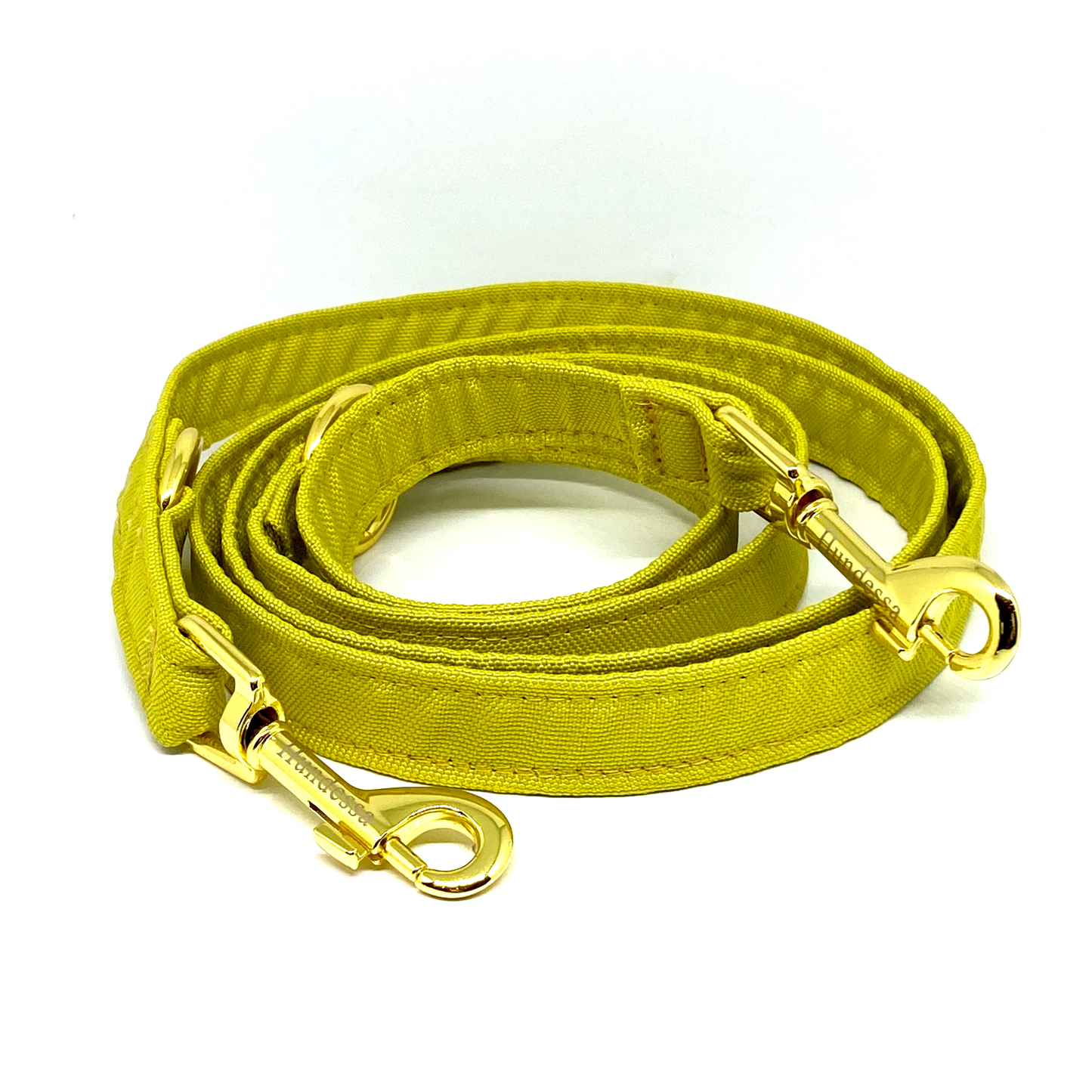 Leine CURRY