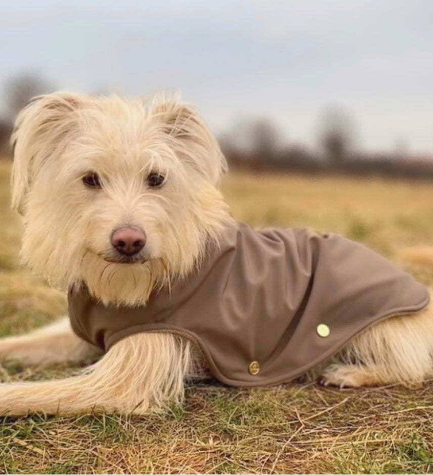 Hundemantel Softshell TAUPE – Ansicht 2
