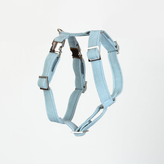 Geschirr BABYBLAU