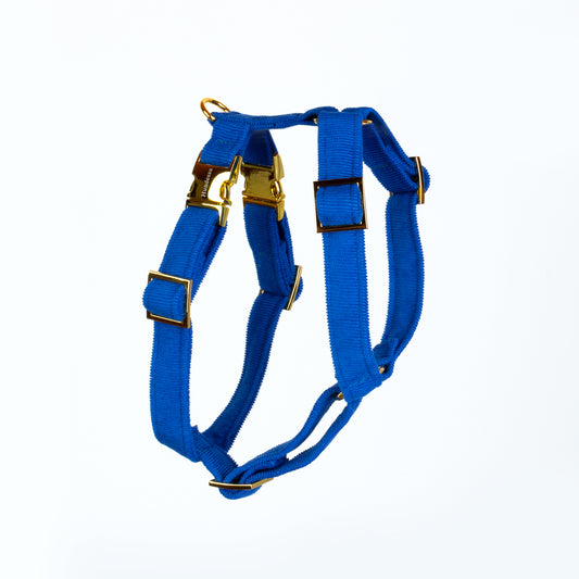 Geschirr KORNBLUMENBLAU