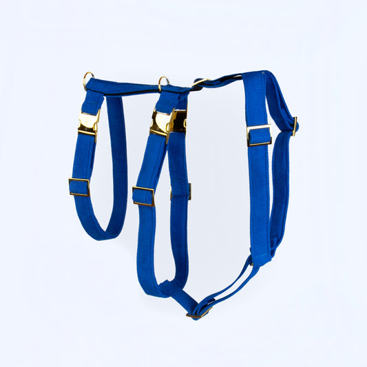 Sicherheitsgeschirr KORNBLUMENBLAU
