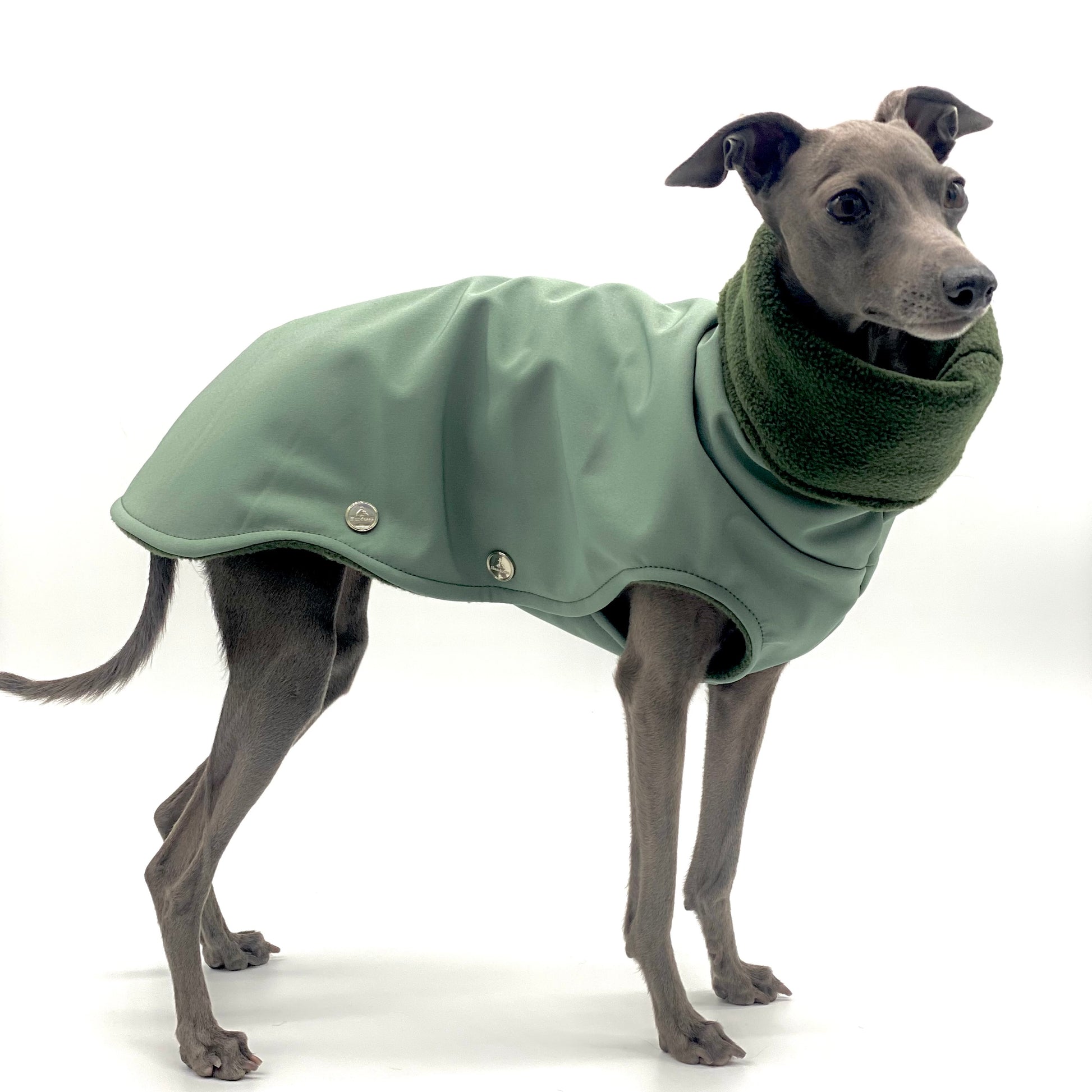 Hundemantel Softshell ALTGRÜN – Ansicht 2