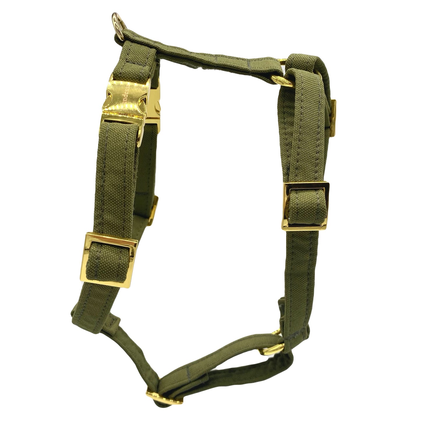 Geschirr OLIVE