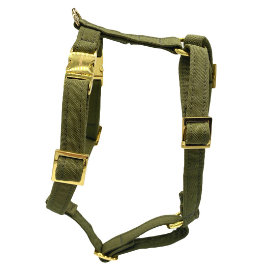 Geschirr OLIVE
