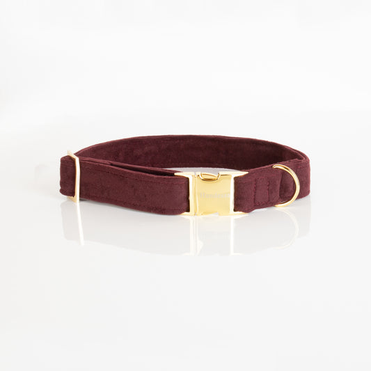 Halsband Klickverschluss PFLAUME