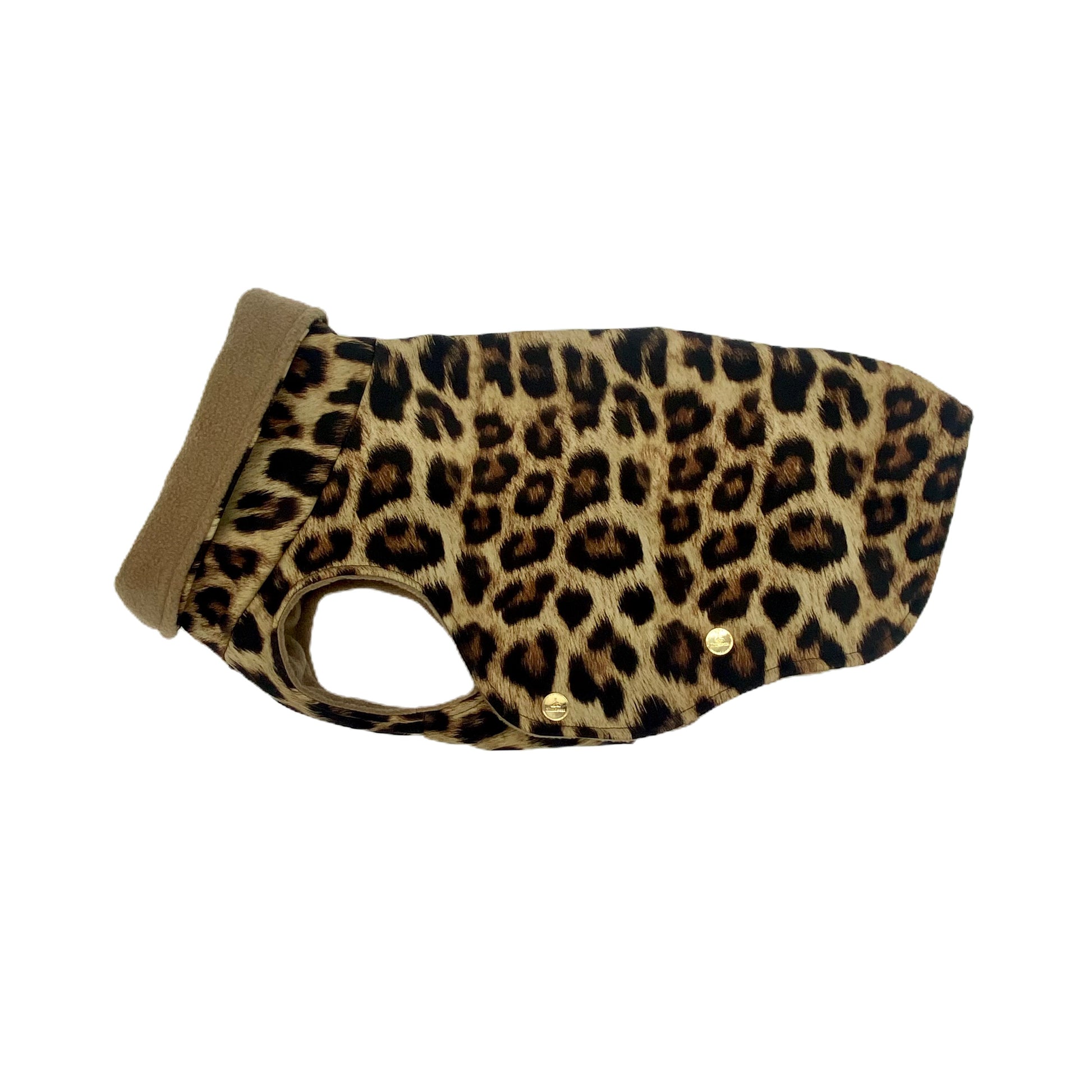 Frenchie Hundemantel Softshell LEO