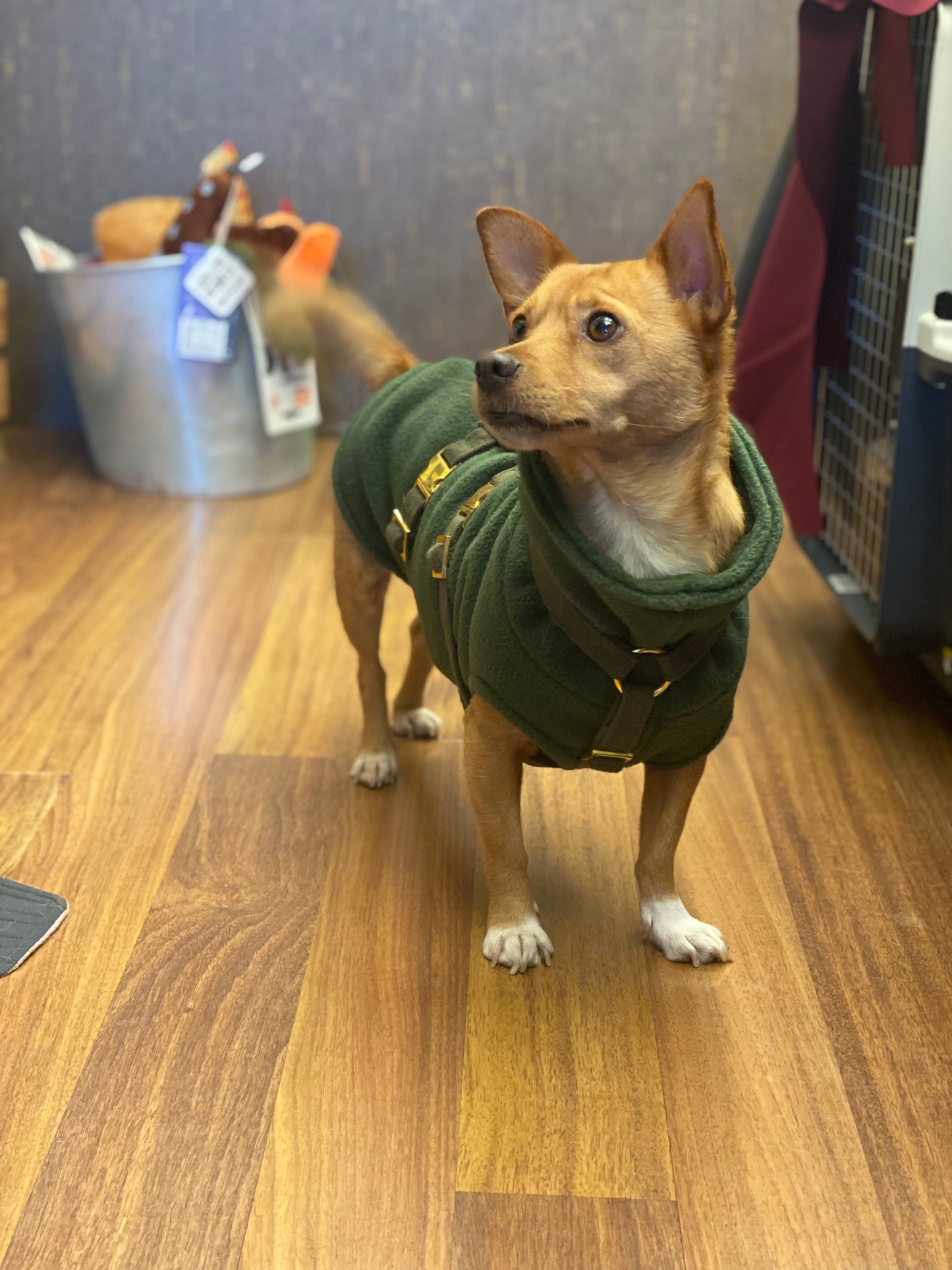 Hundemantel Fleece WALDGRÜN – Ansicht 3