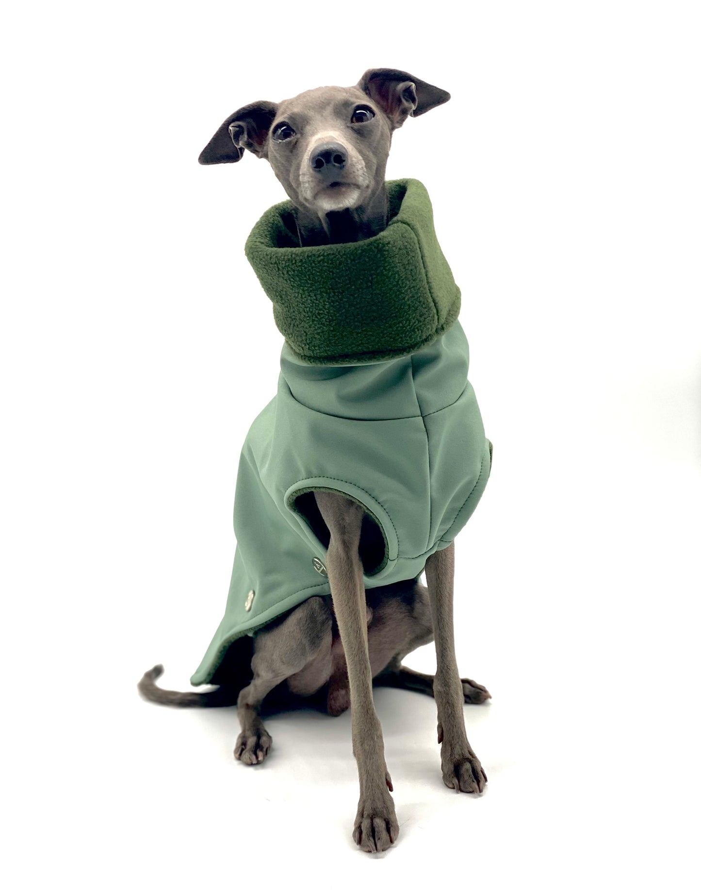 Hundemantel Softshell ALTGRÜN – Ansicht 4