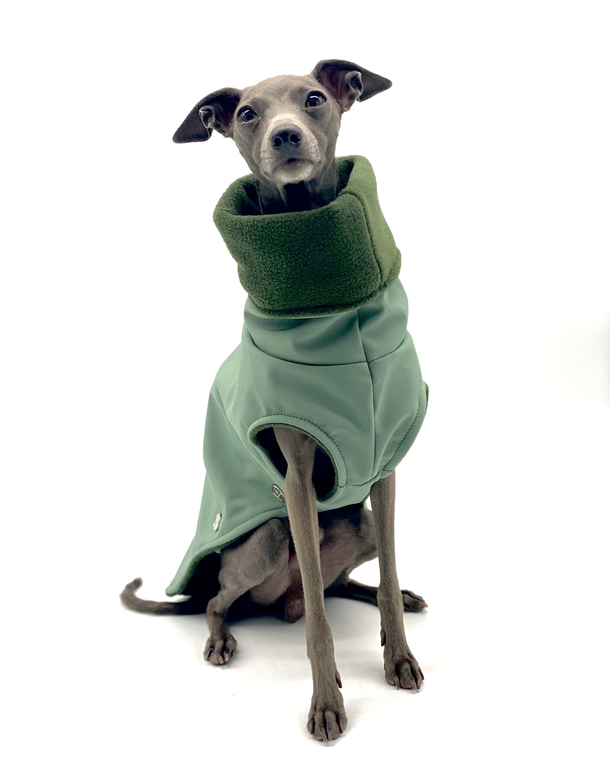 Hundemantel Softshell ALTGRÜN – Ansicht 4
